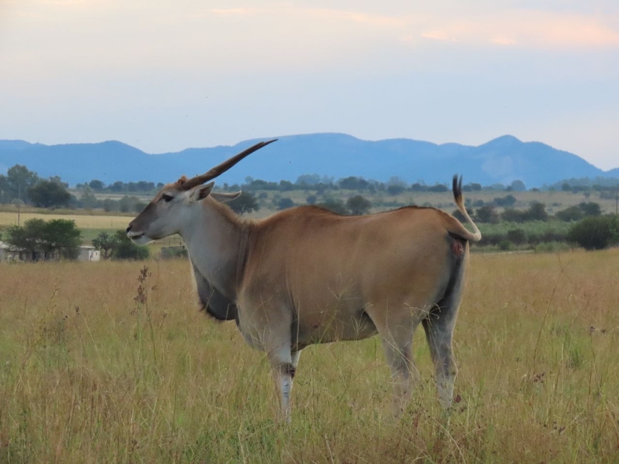 0 Bedroom Property for Sale in Potchefstroom Rural North West